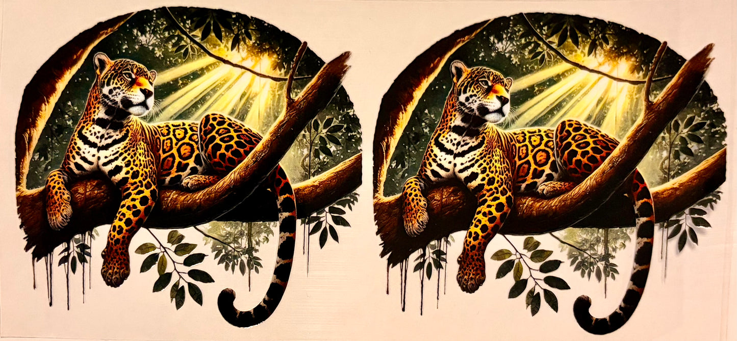 Animal wraps